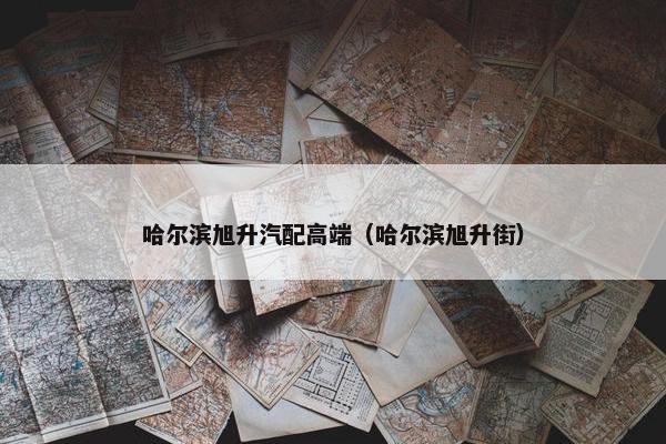 哈尔滨旭升汽配高端（哈尔滨旭升街）
