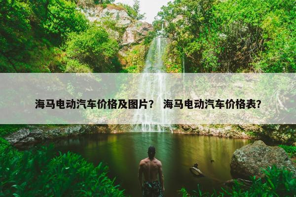 海马电动汽车价格及图片？ 海马电动汽车价格表？