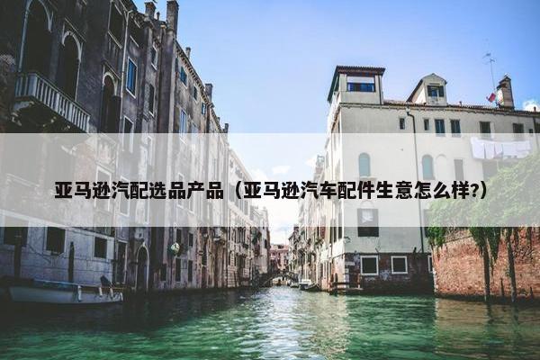亚马逊汽配选品产品（亚马逊汽车配件生意怎么样?）
