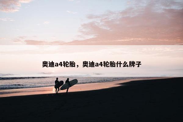 奥迪a4轮胎，奥迪a4轮胎什么牌子