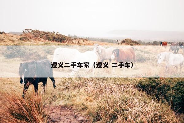 遵义二手车家（遵义 二手车）