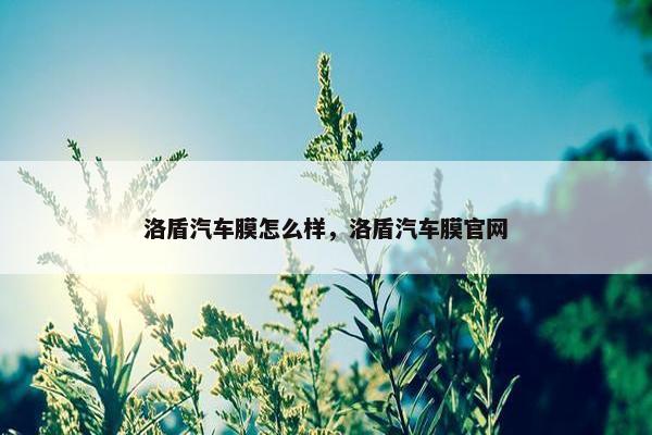 洛盾汽车膜怎么样，洛盾汽车膜官网