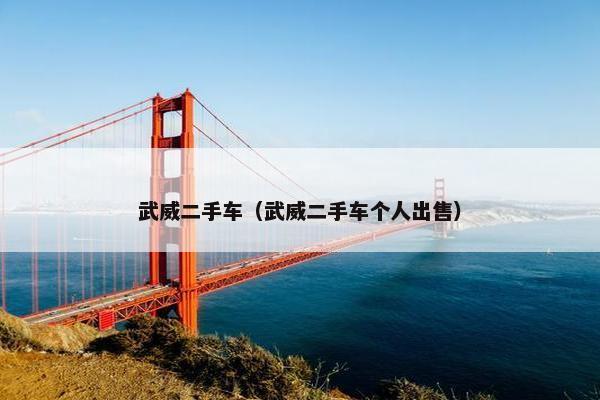 武威二手车（武威二手车个人出售）