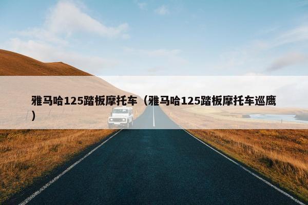 雅马哈125踏板摩托车（雅马哈125踏板摩托车巡鹰）
