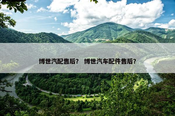 博世汽配售后？ 博世汽车配件售后？