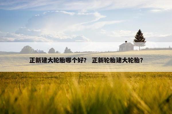 正新建大轮胎哪个好？ 正新轮胎建大轮胎？