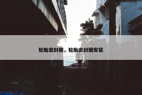 轮胎密封圈，轮胎密封圈安装