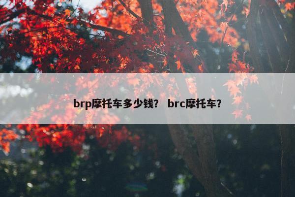 brp摩托车多少钱？ brc摩托车？