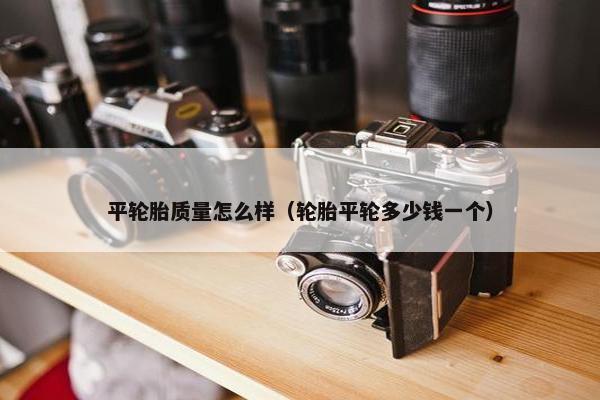 平轮胎质量怎么样（轮胎平轮多少钱一个）