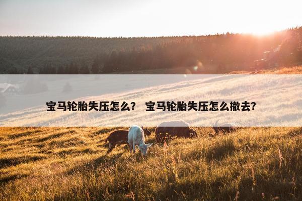 宝马轮胎失压怎么？ 宝马轮胎失压怎么撤去？