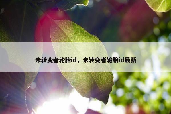 未转变者轮胎id，未转变者轮胎id最新