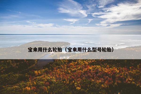 宝来用什么轮胎（宝来用什么型号轮胎）