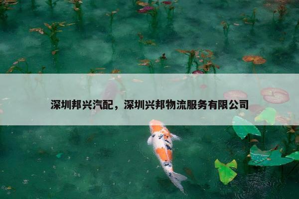 深圳邦兴汽配，深圳兴邦物流服务有限公司