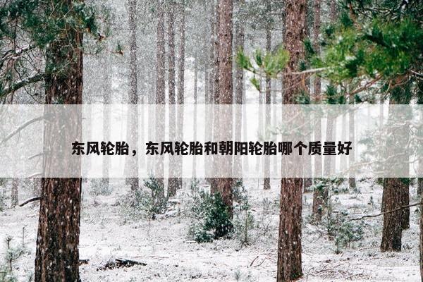 东风轮胎，东风轮胎和朝阳轮胎哪个质量好