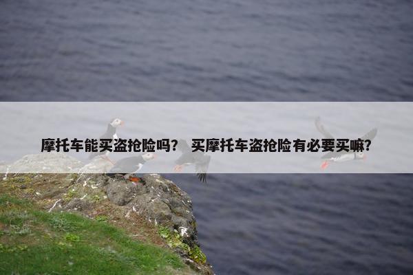 摩托车能买盗抢险吗？ 买摩托车盗抢险有必要买嘛？