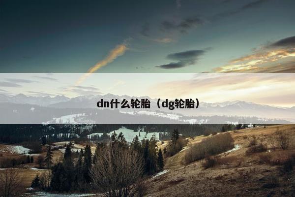 dn什么轮胎（dg轮胎）
