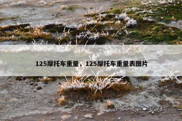 125摩托车重量，125摩托车重量表图片