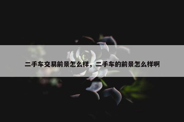 二手车交易前景怎么样，二手车的前景怎么样啊