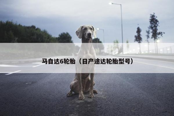马自达6轮胎（日产途达轮胎型号）