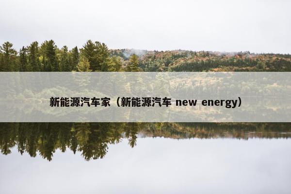 新能源汽车家（新能源汽车 new energy）
