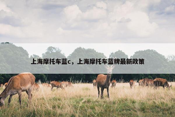 上海摩托车蓝c，上海摩托车蓝牌最新政策