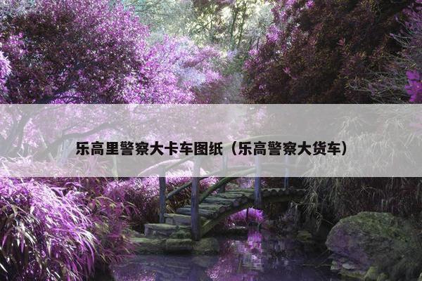 乐高里警察大卡车图纸（乐高警察大货车）