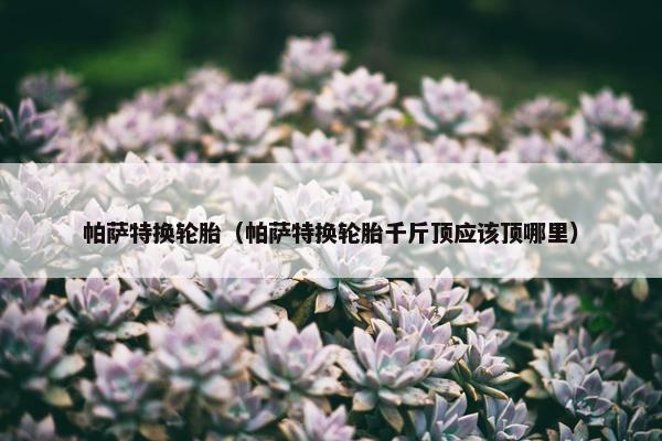 帕萨特换轮胎（帕萨特换轮胎千斤顶应该顶哪里）