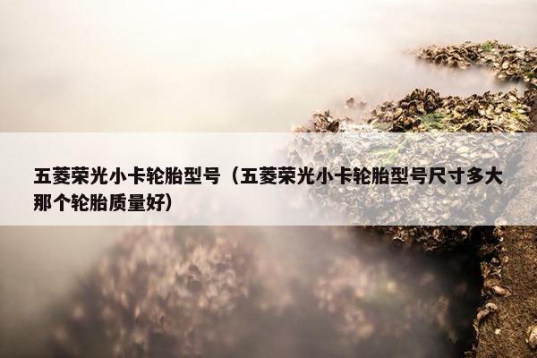 五菱荣光小卡轮胎型号（五菱荣光小卡轮胎型号尺寸多大那个轮胎质量好）