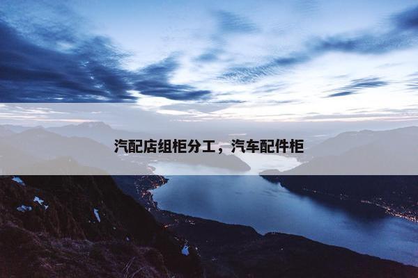 汽配店组柜分工，汽车配件柜