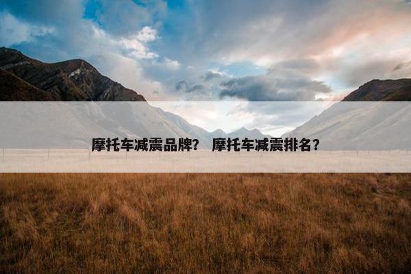 摩托车减震品牌？ 摩托车减震排名？