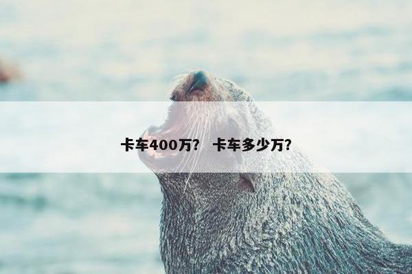 卡车400万？ 卡车多少万？