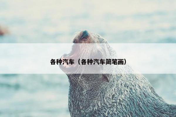 各种汽车（各种汽车简笔画）
