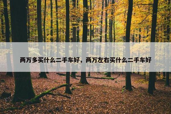 两万多买什么二手车好，两万左右买什么二手车好