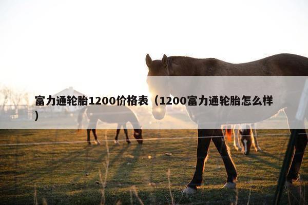 富力通轮胎1200价格表（1200富力通轮胎怎么样）