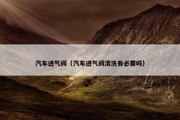 汽车进气阀（汽车进气阀清洗有必要吗）