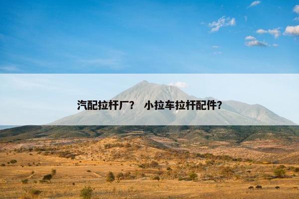 汽配拉杆厂？ 小拉车拉杆配件？