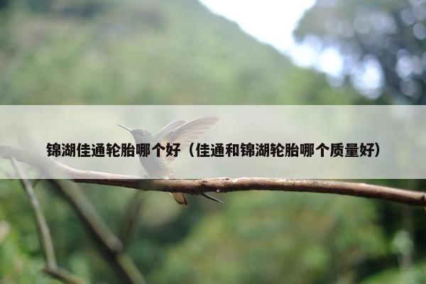 锦湖佳通轮胎哪个好（佳通和锦湖轮胎哪个质量好）