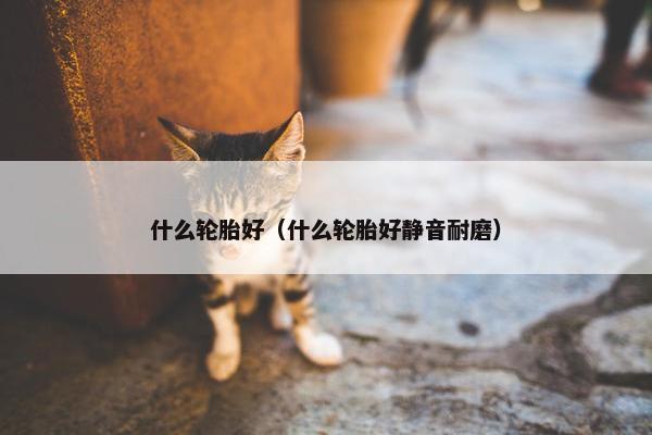 什么轮胎好（什么轮胎好静音耐磨）