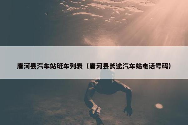 唐河县汽车站班车列表（唐河县长途汽车站电话号码）