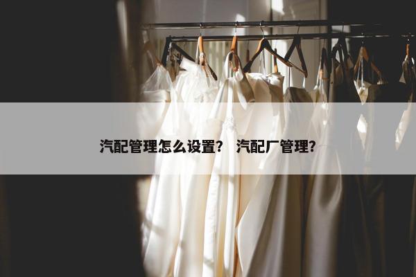 汽配管理怎么设置？ 汽配厂管理？
