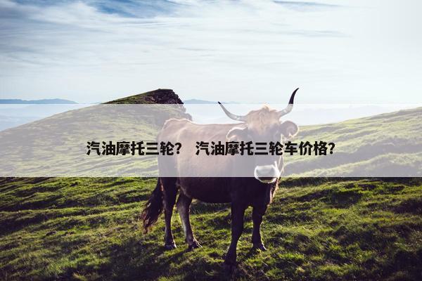 汽油摩托三轮？ 汽油摩托三轮车价格？