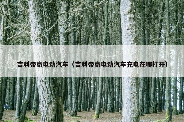 吉利帝豪电动汽车（吉利帝豪电动汽车充电在哪打开）