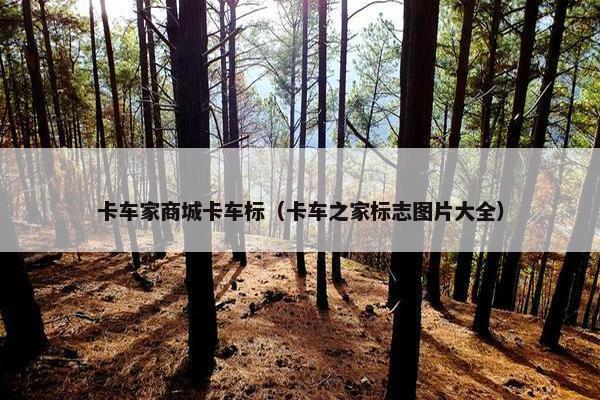 卡车家商城卡车标（卡车之家标志图片大全）