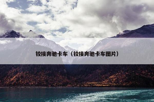 铰接奔驰卡车（铰接奔驰卡车图片）