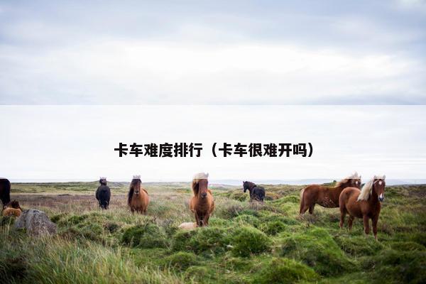卡车难度排行（卡车很难开吗）