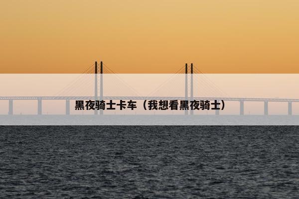 黑夜骑士卡车（我想看黑夜骑士）