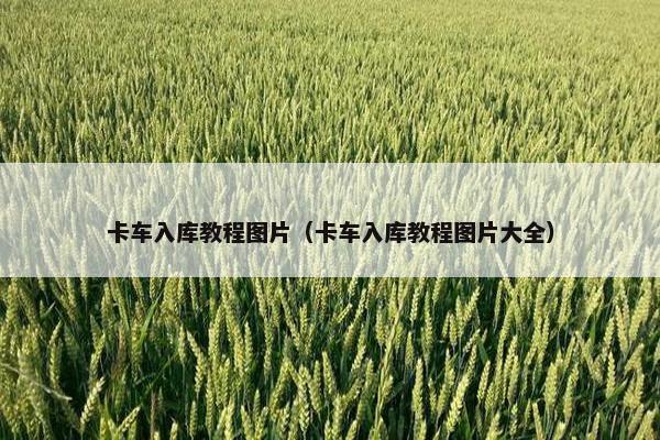 卡车入库教程图片（卡车入库教程图片大全）