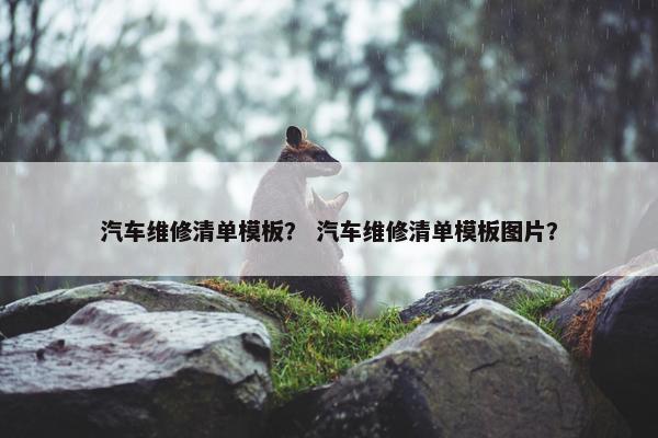 汽车维修清单模板？ 汽车维修清单模板图片？