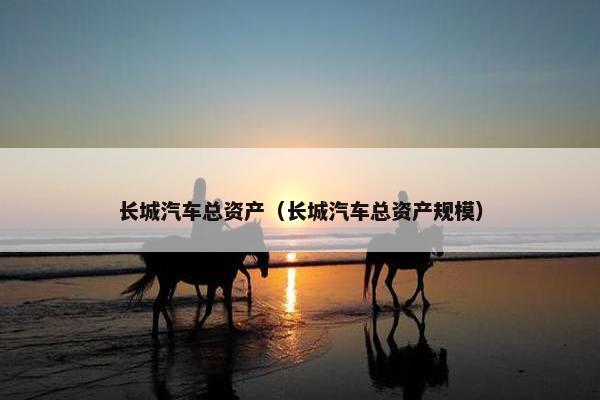长城汽车总资产（长城汽车总资产规模）
