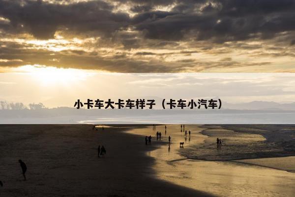 小卡车大卡车样子（卡车小汽车）